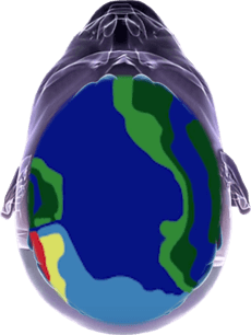 Aufsicht auf offenen Kopf mit wilden Farben